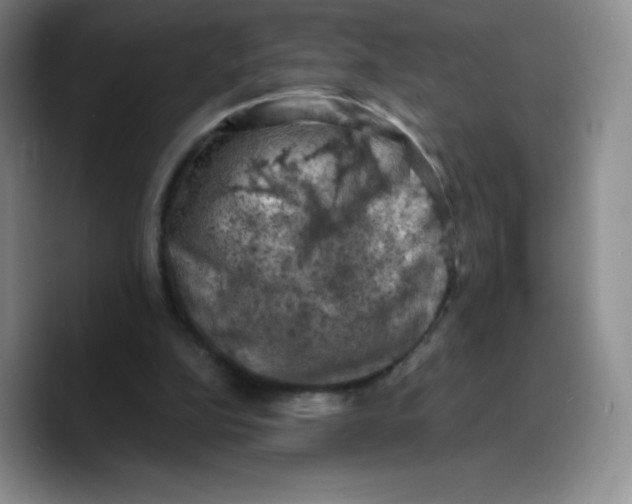 X0000089690152200707201727