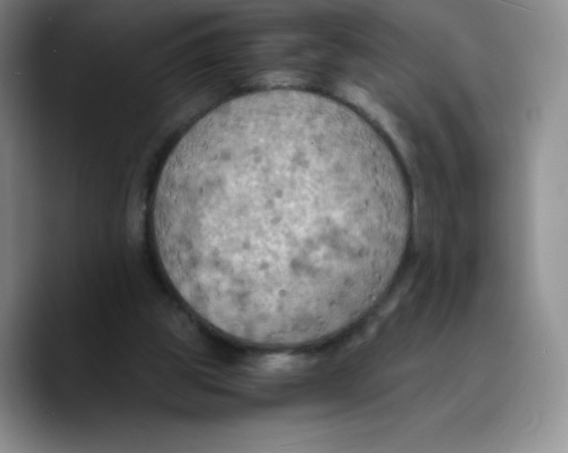 X0000089690153200707201727