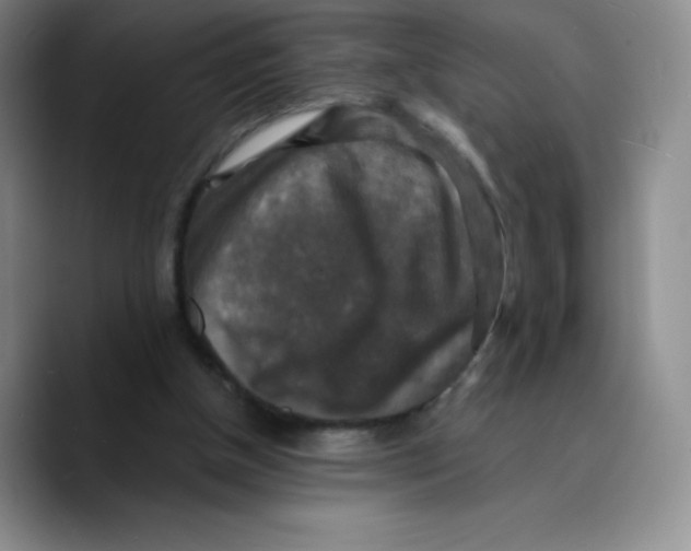 X0000089690154200707201727