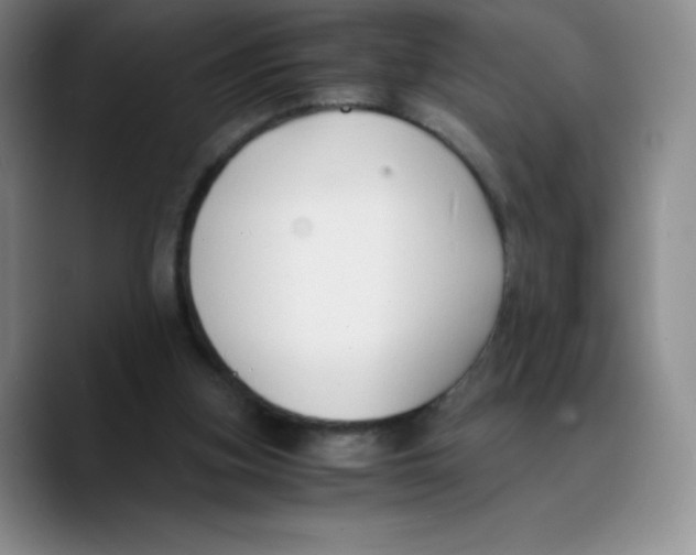 X0000089690155200707201727