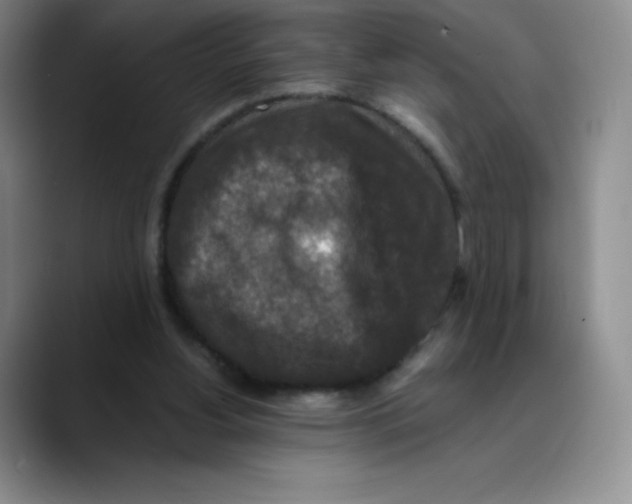 X0000089690156200707201727