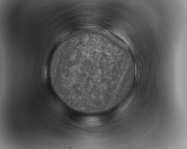 X0000089690157200707201727