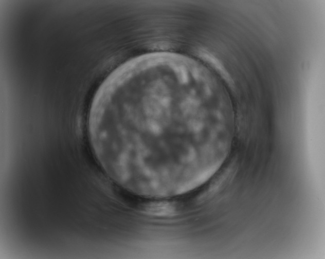 X0000089690161200707201727