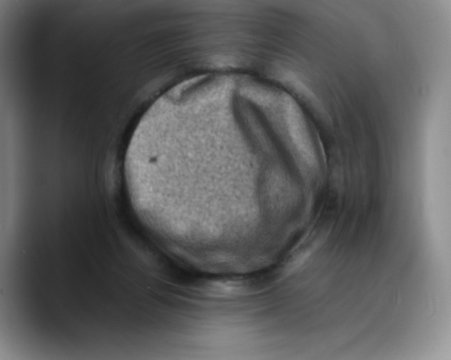 X0000089690164200707201727