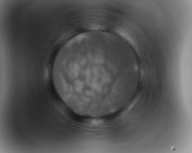 X0000089690165200707201727