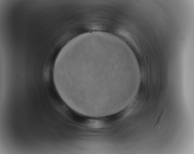X0000089690167200707201727