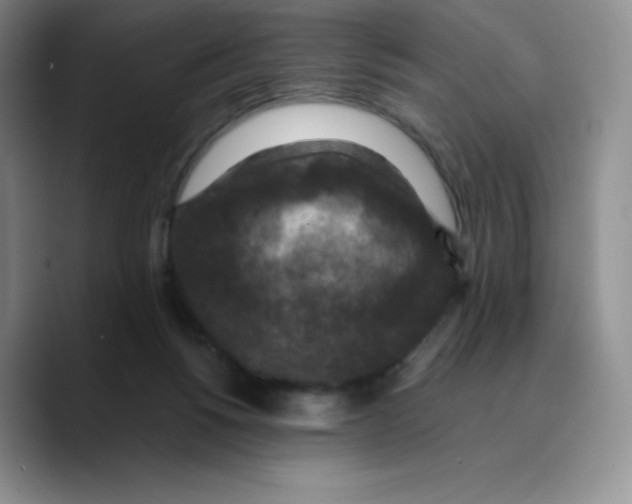 X0000089690168200707201727
