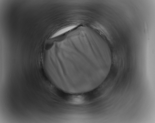 X0000089690169200707201727