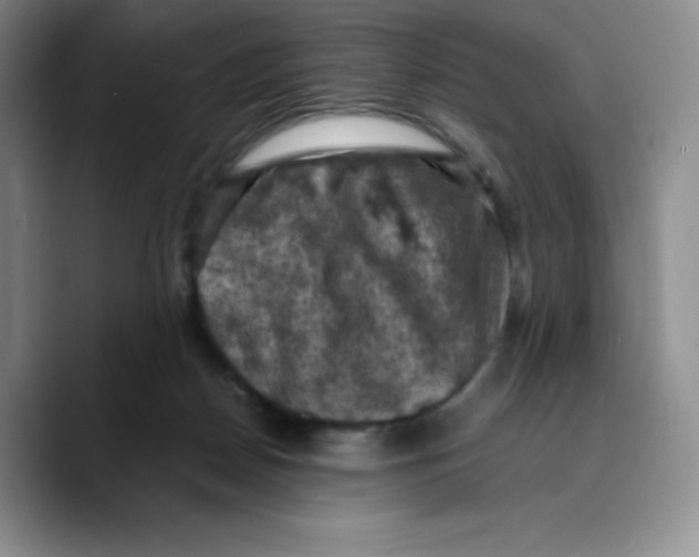 X0000089690170200707201727