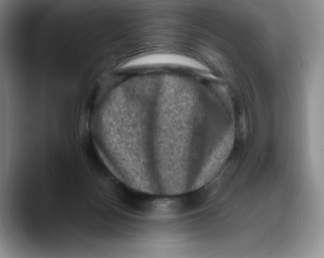 X0000089690172200707201727