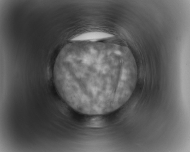 X0000089690173200707201727