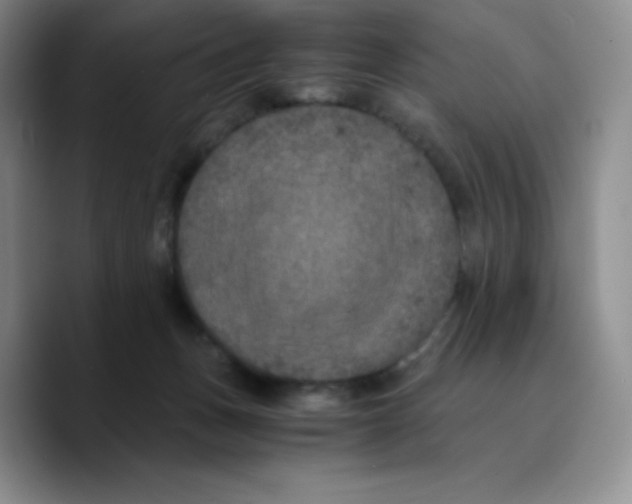 X0000089690175200707201727