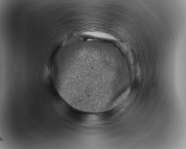 X0000089690176200707201727