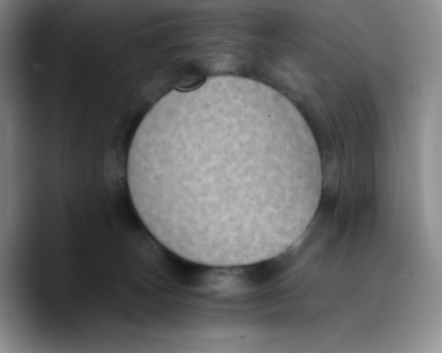 X0000089690179200707201727