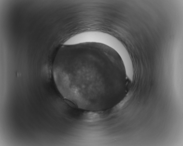 X0000089690180200707201727