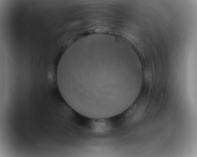 X0000089690181200707201727