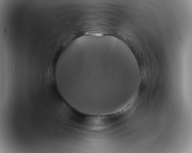 X0000089690182200707201727