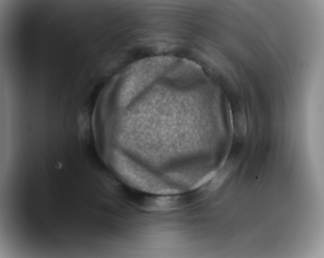 X0000089690184200707201727
