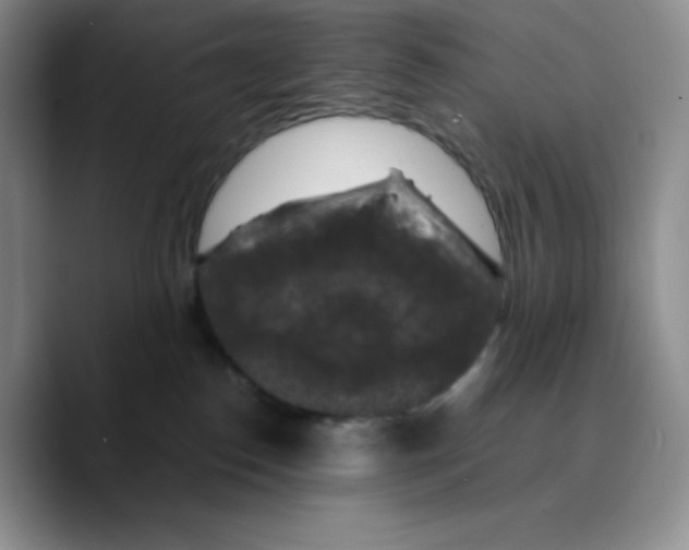 X0000089690186200707201727