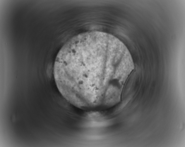 X0000089690189200707201727