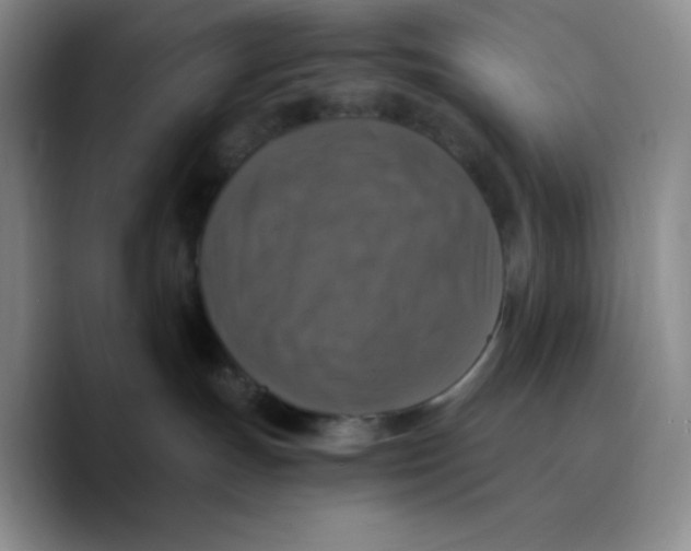 X0000089690191200707201727