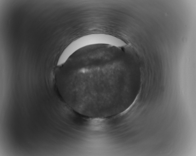 X0000089690192200707201728