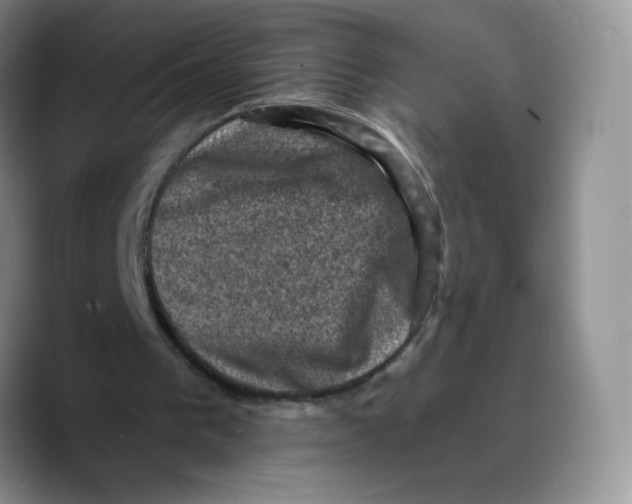 X0000089690193200707201727