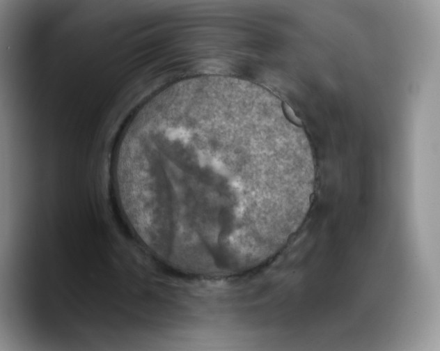 X0000089690194200707201727