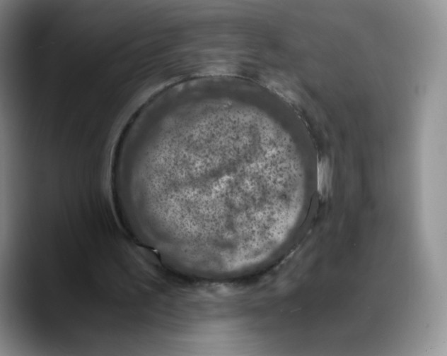 X0000089690195200707201727