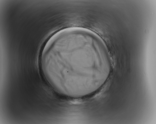 X0000089690196200707201727
