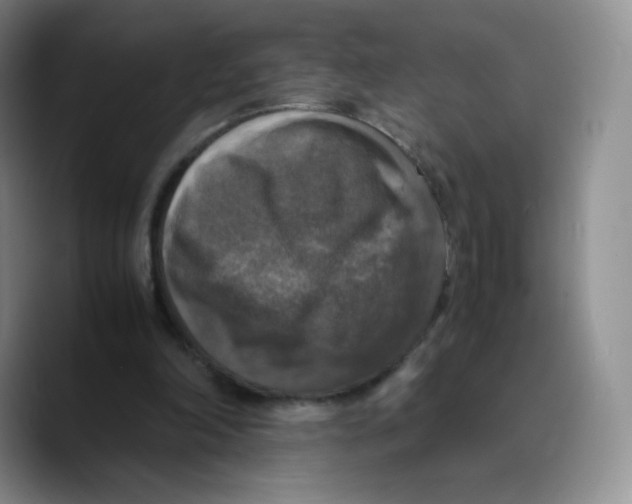X0000089690198200707201727