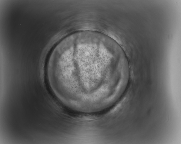 X0000089690199200707201727