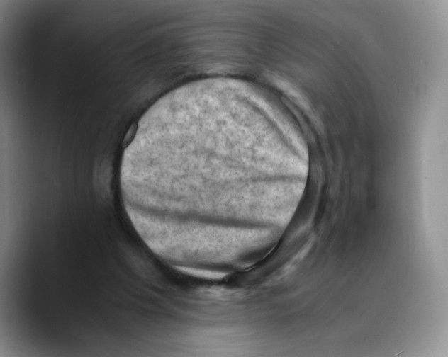 X0000089690201200707201727