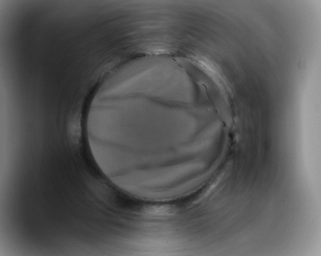 X0000089690202200707201727