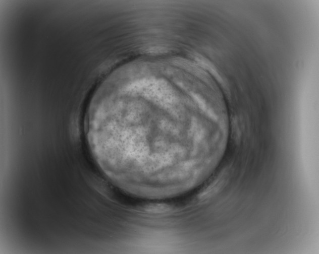 X0000089690203200707201727