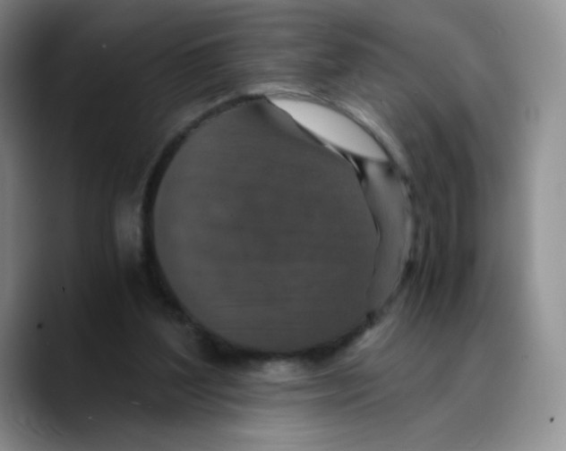 X0000089690204200707201727