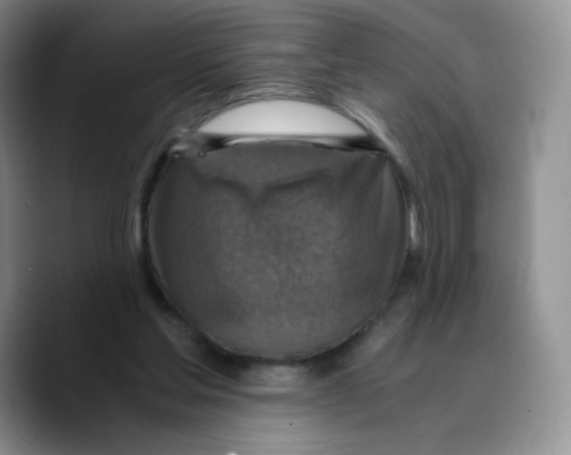 X0000089690205200707201727