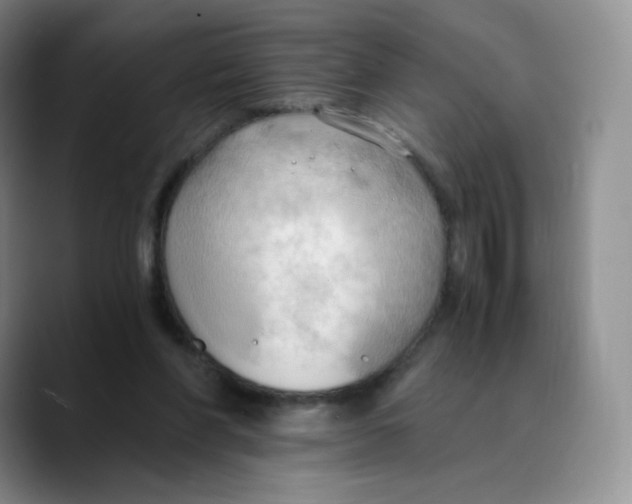 X0000089690206200707201727