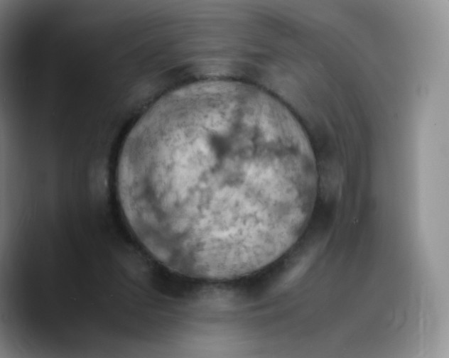 X0000089690207200707201727