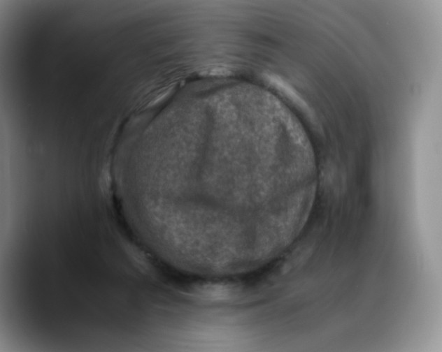X0000089690209200707201727
