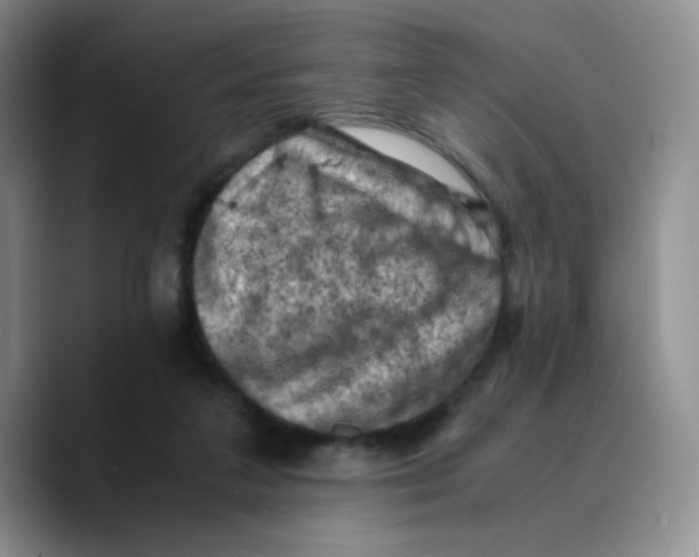 X0000089690211200707201727
