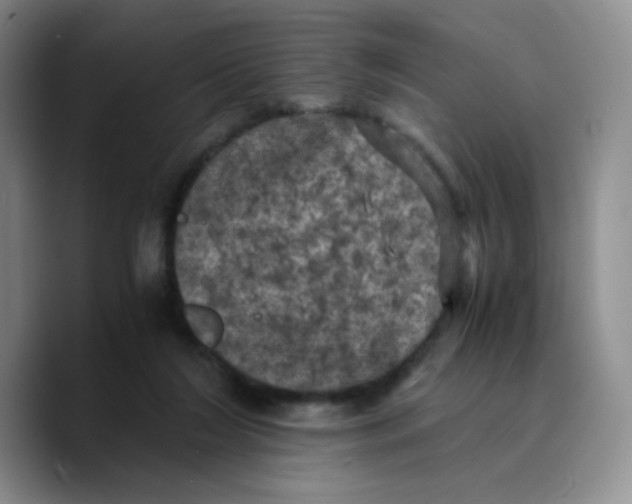 X0000089690212200707201727