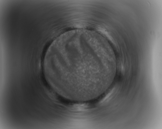 X0000089690213200707201727