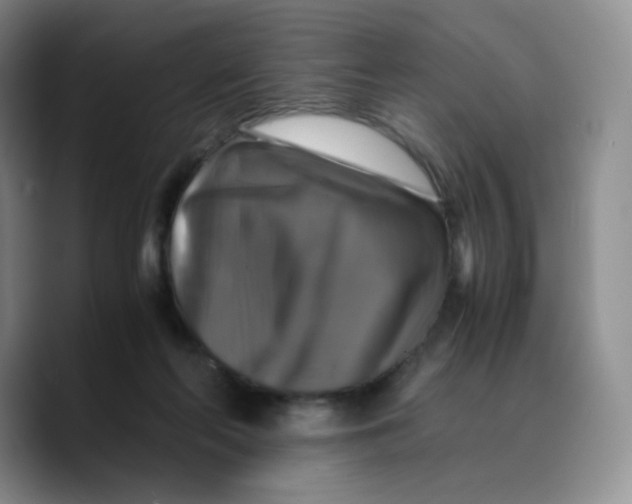 X0000089690214200707201727