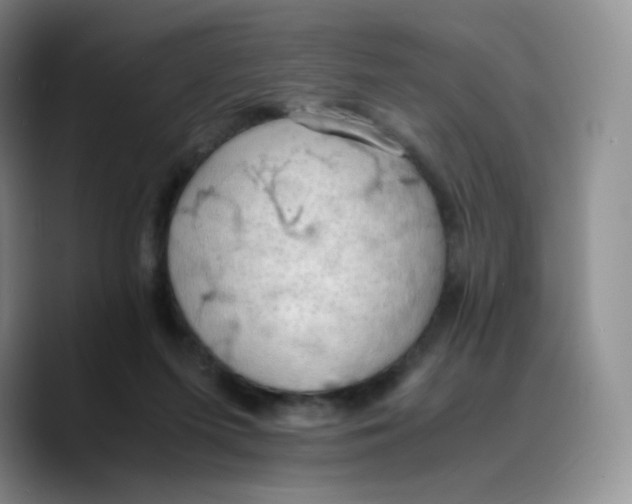 X0000089690215200707201727