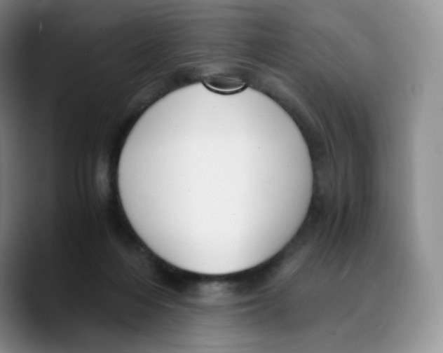 X0000089690216200707201727