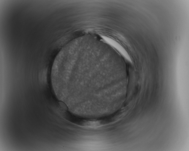 X0000089690217200707201727