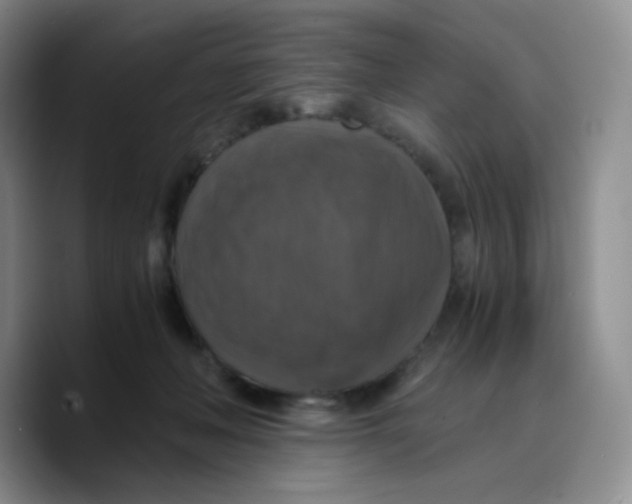 X0000089690222200707201726