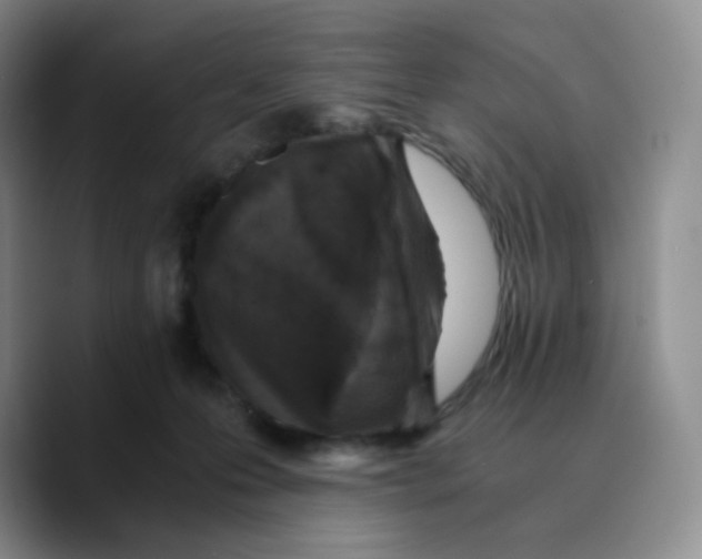 X0000089690223200707201726