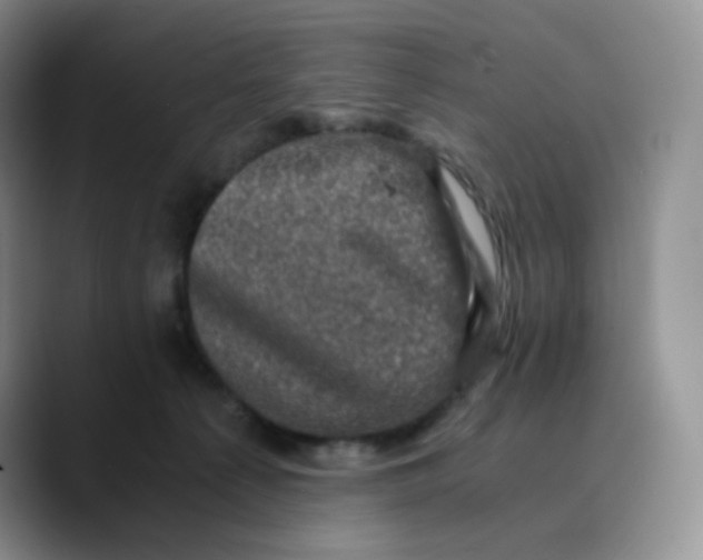 X0000089690225200707201726